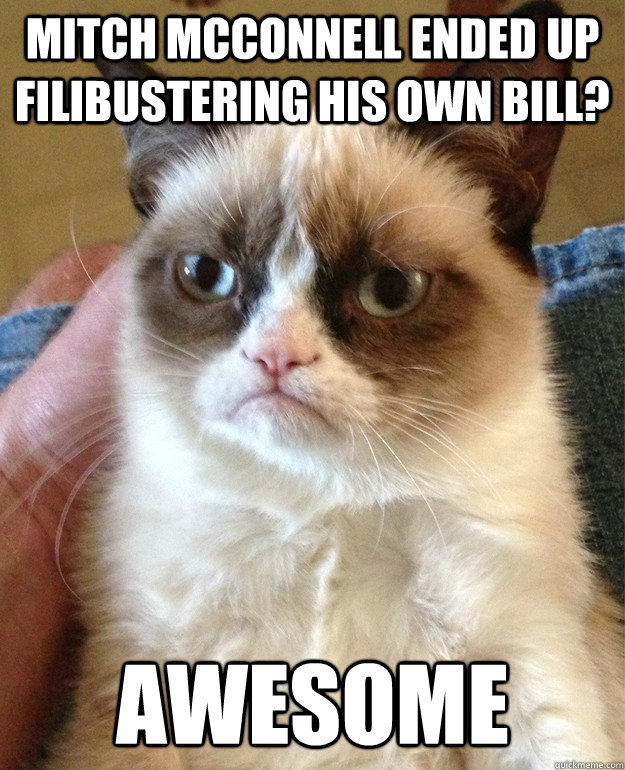 Mitch McConnell ended up filibustering his own bill? AWESOME  Grumpy Cat