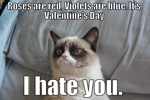 ROSES ARE RED, VIOLETS ARE BLUE. IT'S VALENTINE'S DAY I HATE YOU. Grumpy Cat