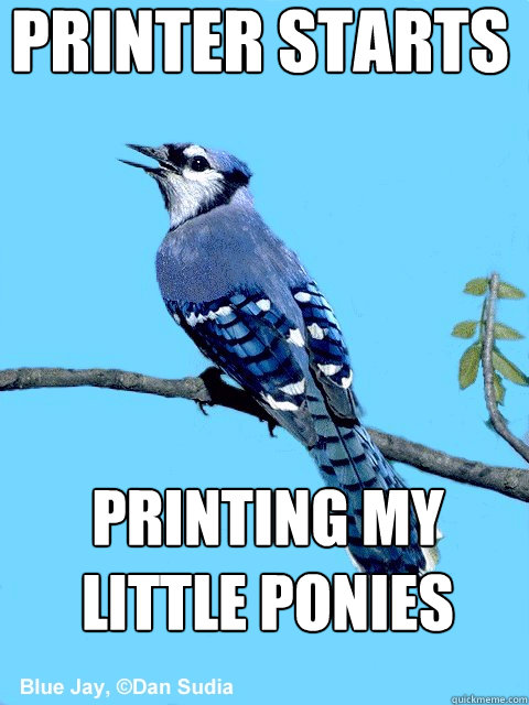 printer starts printing my little Ponies  Blue Team Bird