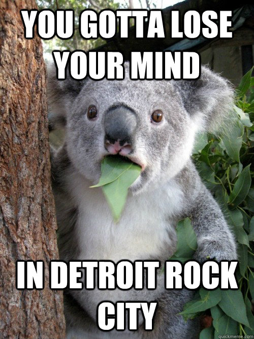 you gotta lose your mind in detroit rock city - you gotta lose your mind in detroit rock city  koala bear