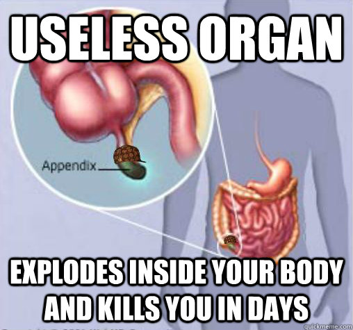 useless organ explodes inside your body and kills you in days - useless organ explodes inside your body and kills you in days  Misc