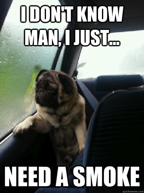 I don't know man, I just... need a smoke  Introspective Pug