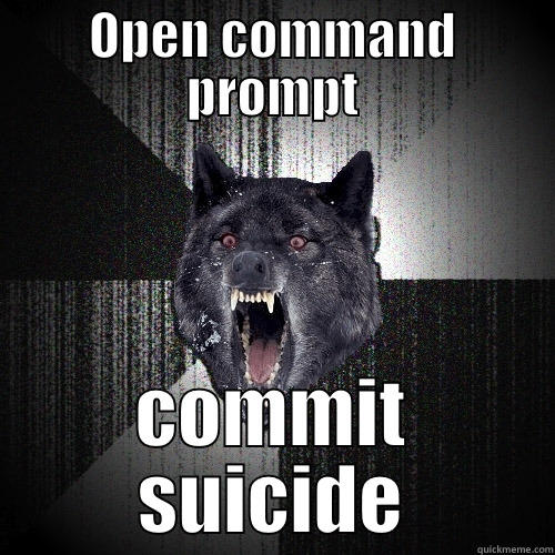 Some people and command prompt. - OPEN COMMAND PROMPT COMMIT SUICIDE Insanity Wolf