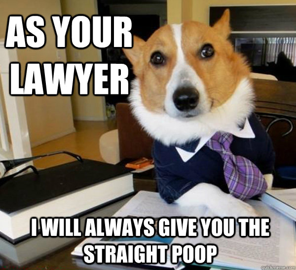 As your lawyer i will always give you the straight poop  Lawyer Dog