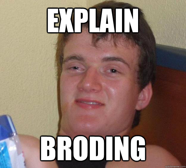 Explain Broding  10 Guy