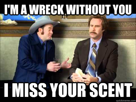 I'm a wreck without you I miss your scent - I'm a wreck without you I miss your scent  Emotionally Challenged Champ