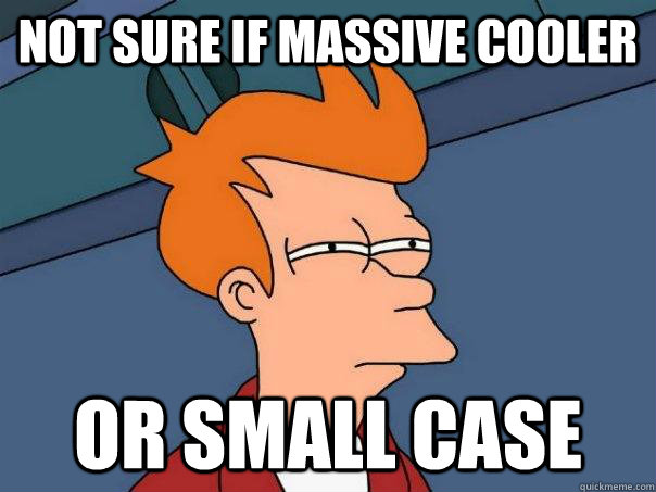 Not sure if massive cooler Or small case - Not sure if massive cooler Or small case  Futurama Fry