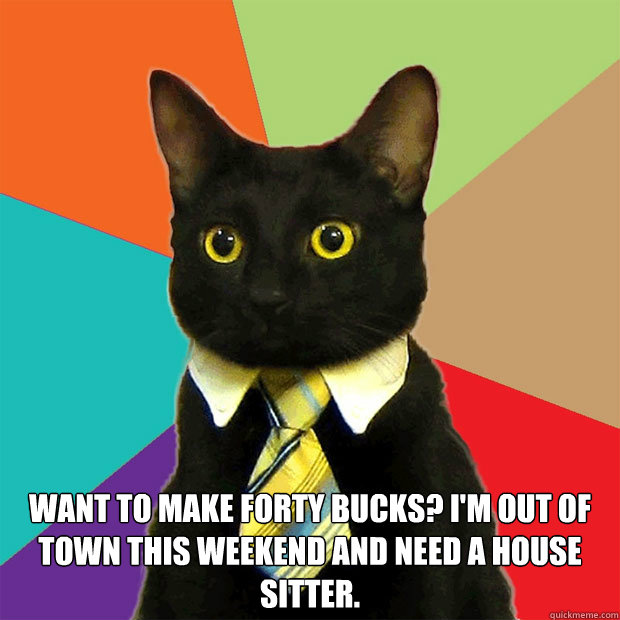  Want to make forty bucks? I'm out of town this weekend and need a house sitter.  Business Cat