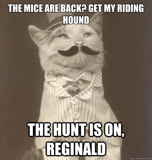 the mice are back? Get my riding hound The hunt is on, reginald  Original Business Cat