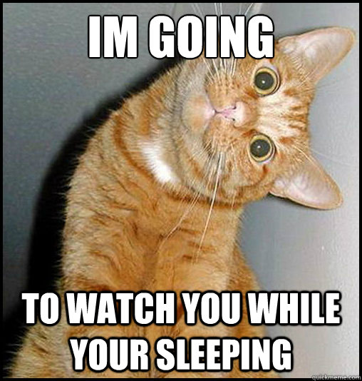 Im going To watch you while your sleeping - Im going To watch you while your sleeping  Misc