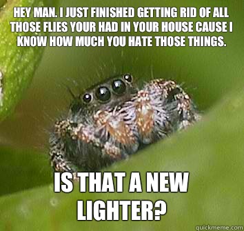 Hey man. I just finished getting rid of all those flies your had in your house cause I know how much you hate those things. is that a new lighter?  Misunderstood Spider