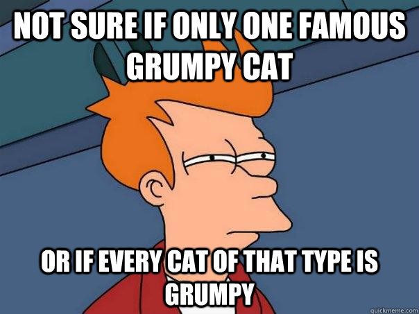 Not sure if only one famous grumpy cat Or if every cat of that type is grumpy  Futurama Fry