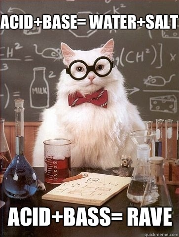 acid+base= water+salt acid+bass= rave - acid+base= water+salt acid+bass= rave  Chemistry Cat