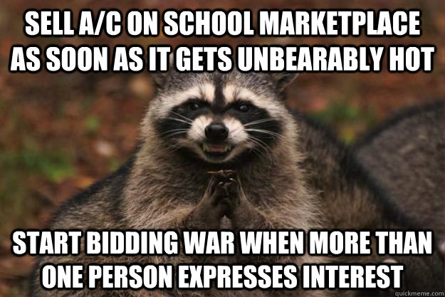 Sell A/C on school marketplace as soon as it gets unbearably hot start bidding war when more than one person expresses interest - Sell A/C on school marketplace as soon as it gets unbearably hot start bidding war when more than one person expresses interest  Evil Plotting Raccoon