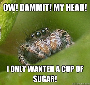 OW! Dammit! MY HEAD! I only wanted a cup of sugar! - OW! Dammit! MY HEAD! I only wanted a cup of sugar!  Misunderstood Spider