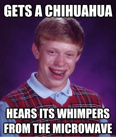 gets a chihuahua  hears its whimpers from the microwave  - gets a chihuahua  hears its whimpers from the microwave   Bad Luck Brian