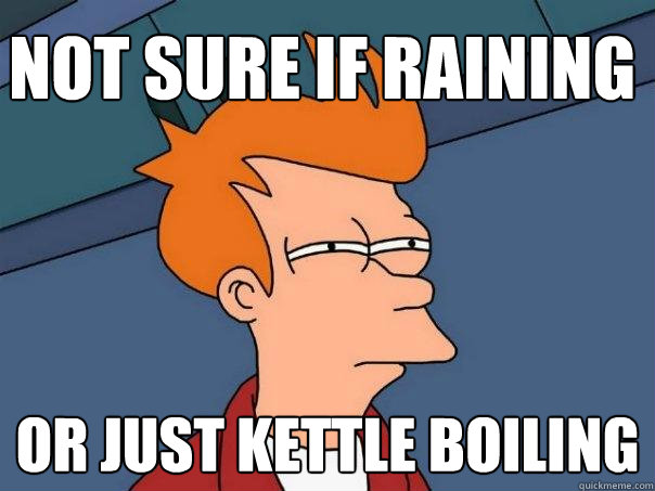 not sure if raining or just kettle boiling  Futurama Fry