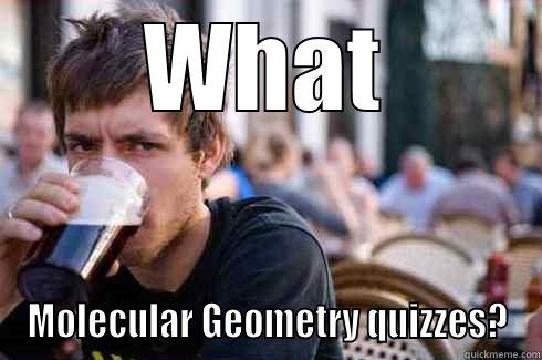 What the...?!?! - WHAT MOLECULAR GEOMETRY QUIZZES? Lazy College Senior