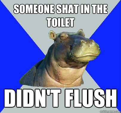 Someone shat in the toilet didn't flush  Skeptical Hippo