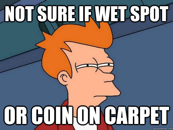 not sure if wet spot or coin on carpet  Futurama Fry