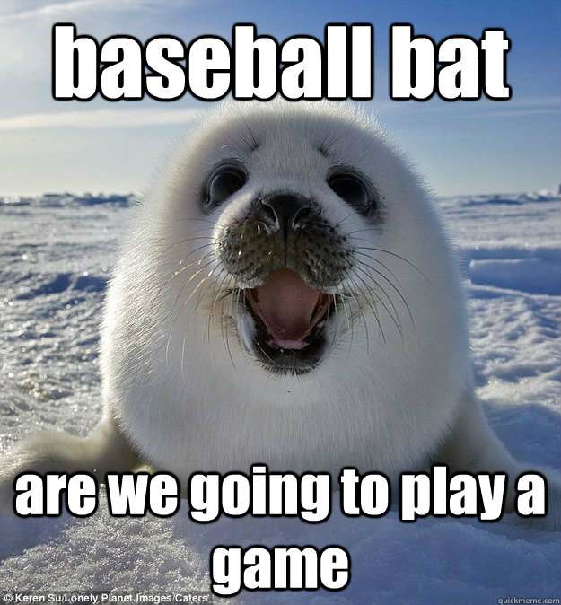 baseball bat are we going to play a game - baseball bat are we going to play a game  Easily Pleased Seal