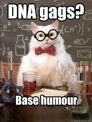 DNA gags? Base humour  Chemistry Cat