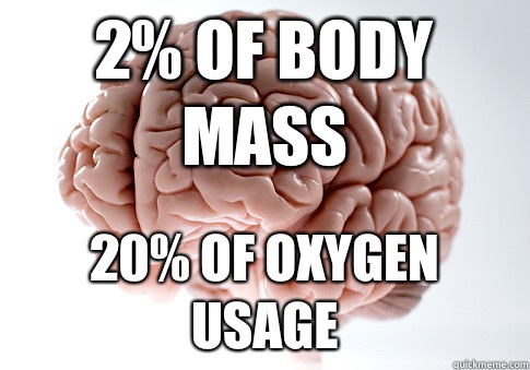 2% of body mass 20% of oxygen usage  Scumbag Brain