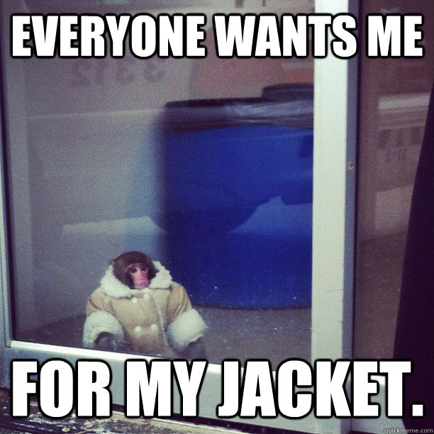 Everyone wants me  for my jacket.  Depressed Dapper Monkey