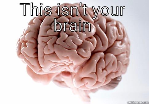 This isn't your brain - THIS ISN'T YOUR BRAIN  Scumbag Brain