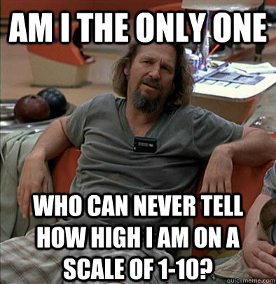 Am I the only one who can never tell how high i am on a scale of 1-10?  The Dude