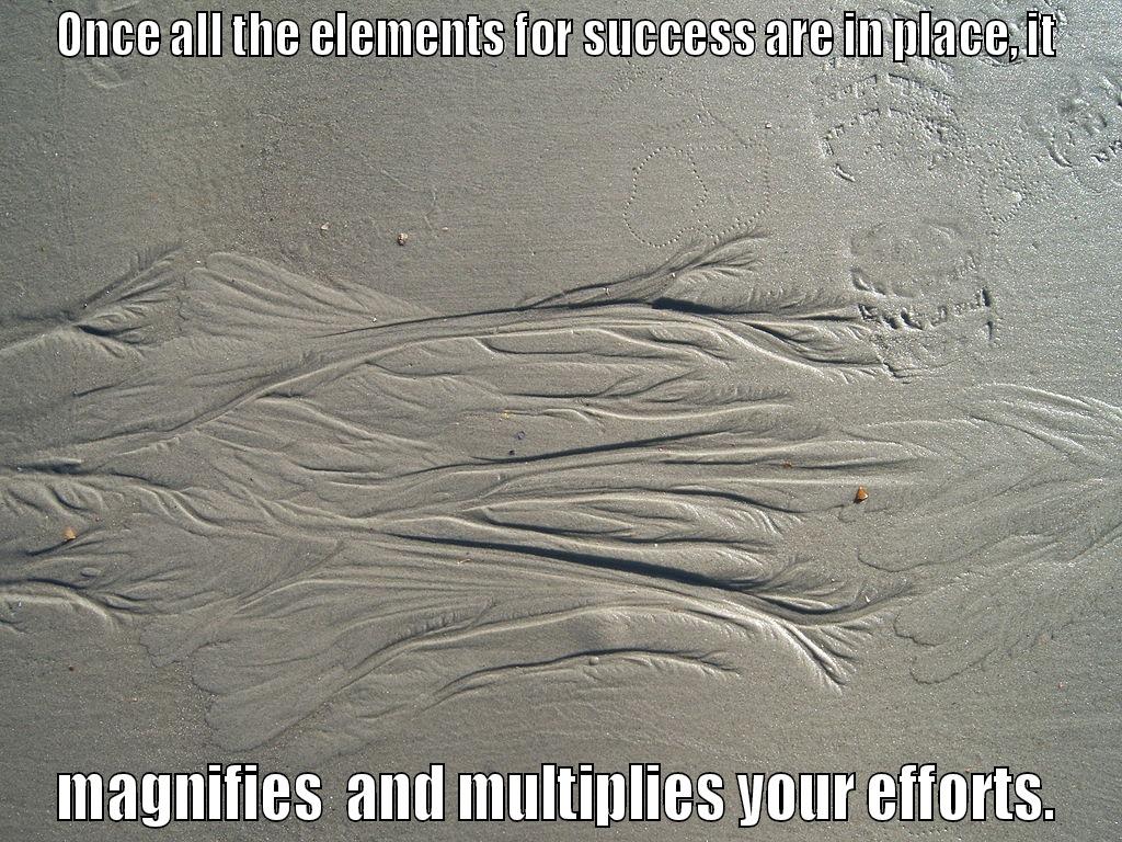 ONCE ALL THE ELEMENTS FOR SUCCESS ARE IN PLACE, IT MAGNIFIES  AND MULTIPLIES YOUR EFFORTS. Misc