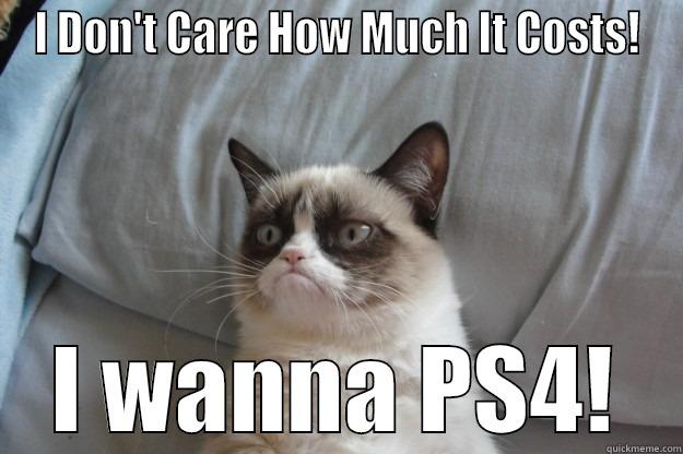 I DON'T CARE HOW MUCH IT COSTS! I WANNA PS4! Grumpy Cat