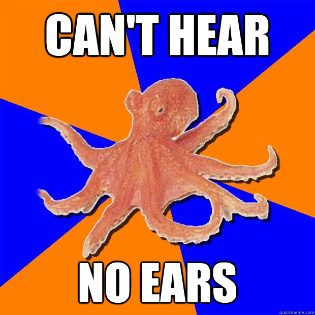 can't hear no ears  Online Diagnosis Octopus