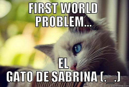 FIRST WORLD PROBLEM... EL GATO DE SABRINA (._.) First World Problems Cat