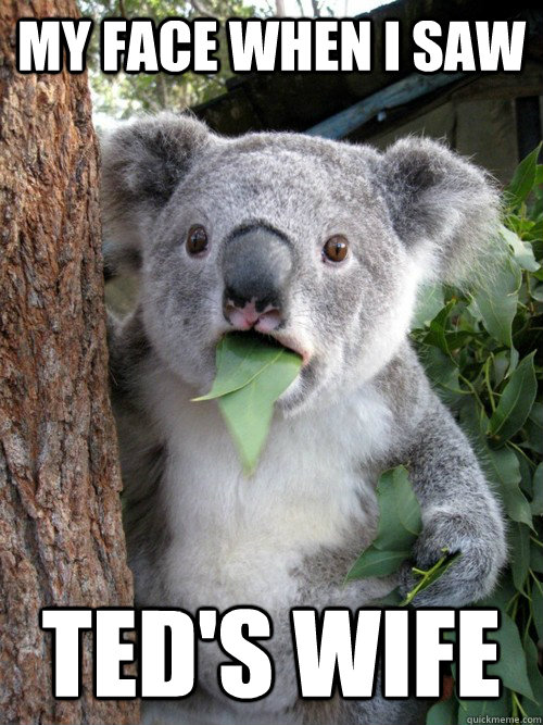 My face when i saw Ted's wife  Surprised Koala