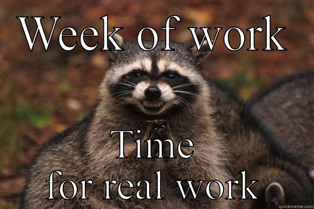 WEEK OF WORK TIME FOR REAL WORK Evil Plotting Raccoon