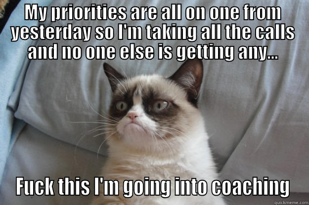 MY PRIORITIES ARE ALL ON ONE FROM YESTERDAY SO I'M TAKING ALL THE CALLS AND NO ONE ELSE IS GETTING ANY... FUCK THIS I'M GOING INTO COACHING Grumpy Cat