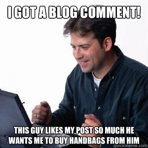 I got a blog comment! This guy likes my post so much he wants me to buy handbags from him  Lonely Computer Guy