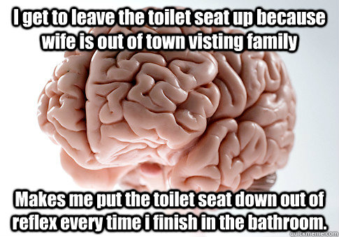 I get to leave the toilet seat up because wife is out of town visting family Makes me put the toilet seat down out of reflex every time i finish in the bathroom.  Scumbag Brain