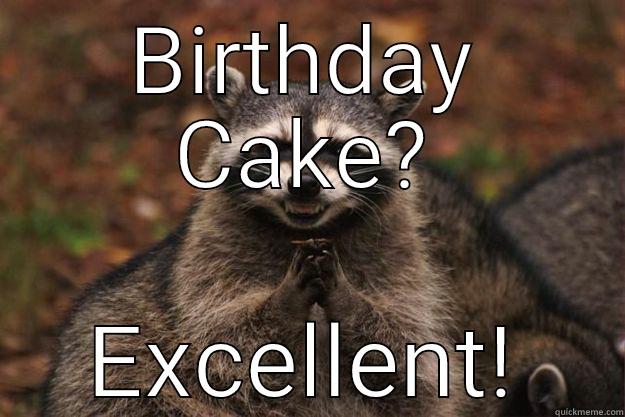 BIRTHDAY CAKE? EXCELLENT! Evil Plotting Raccoon