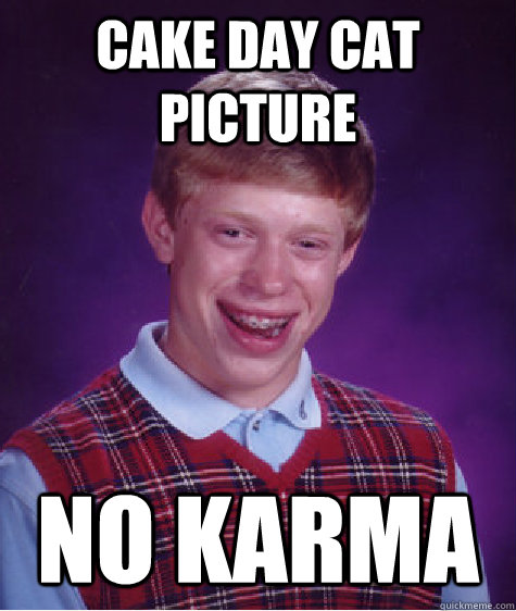 Cake Day Cat Picture No Karma  Bad Luck Brian