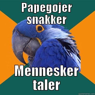 PAPEGØJER SNAKKER MENNESKER TALER Paranoid Parrot