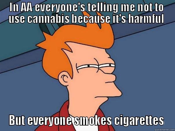 IN AA EVERYONE'S TELLING ME NOT TO USE CANNABIS BECAUSE IT'S HARMFUL BUT EVERYONE SMOKES CIGARETTES Futurama Fry