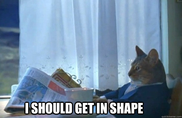 I should get in shape  Sophisticated Cat