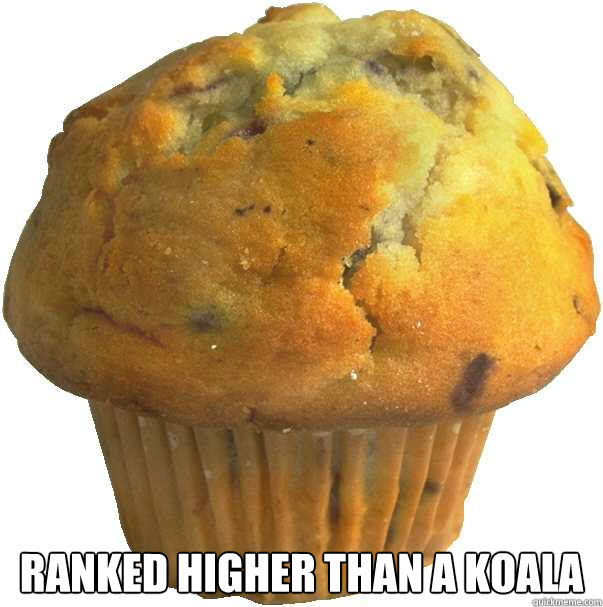 Ranked higher than a koala  