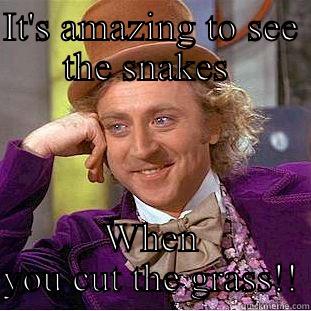 Snakes in the grass - IT'S AMAZING TO SEE THE SNAKES  WHEN YOU CUT THE GRASS!! Condescending Wonka