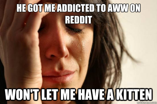 He got me addicted to Aww on reddit won't let me have a kitten  First World Problems