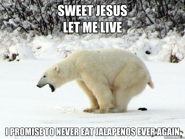 SWEET JESUS
LET ME LIVE I PROMISE TO NEVER EAT JALAPENOS EVER AGAIN - SWEET JESUS
LET ME LIVE I PROMISE TO NEVER EAT JALAPENOS EVER AGAIN  Worst Shit Polar Bear