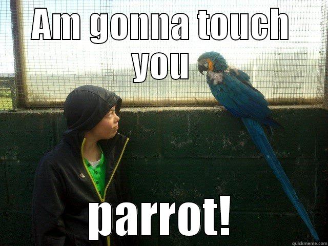 Pedo paul - AM GONNA TOUCH YOU PARROT! Misc