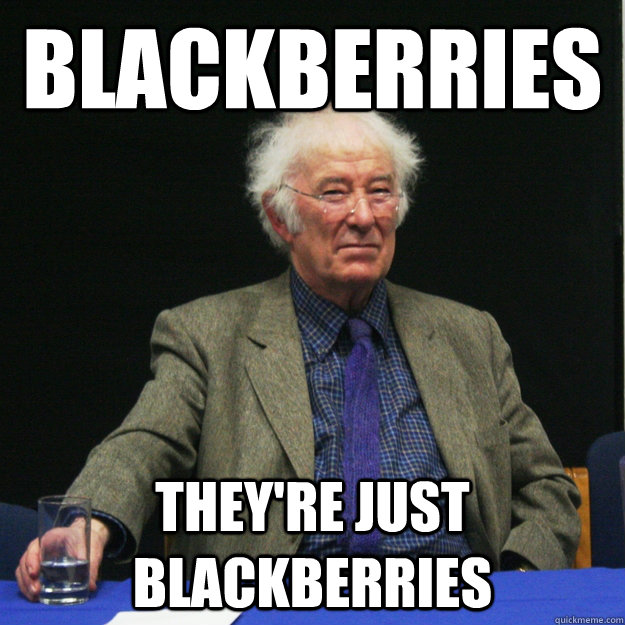 Blackberries They're just blackberries  